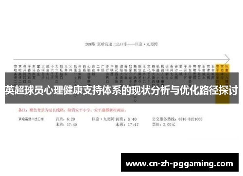 英超球员心理健康支持体系的现状分析与优化路径探讨