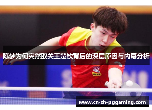 陈梦为何突然取关王楚钦背后的深层原因与内幕分析