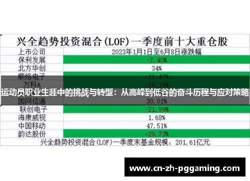 运动员职业生涯中的挑战与转型：从高峰到低谷的奋斗历程与应对策略