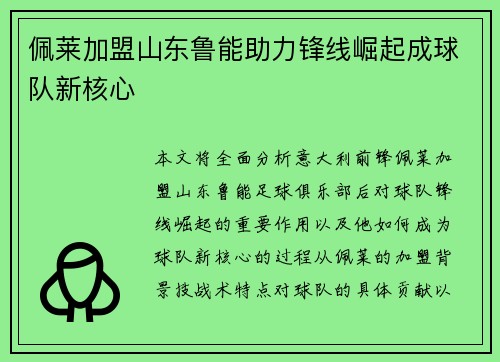佩莱加盟山东鲁能助力锋线崛起成球队新核心 佩莱加盟山东鲁能助力锋线崛起成球队新核心
